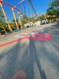 a person is taking a picture of a roller coaster at an amusement park