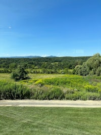 a view of a grassy field with mountains in the background